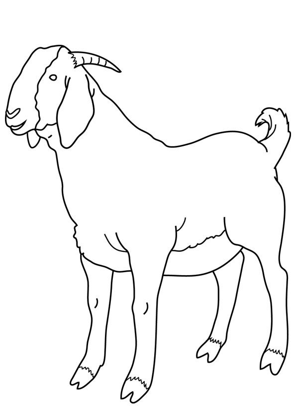 Goat colorg pages for kids animal drawgs elephant colorg page animal colorg pages