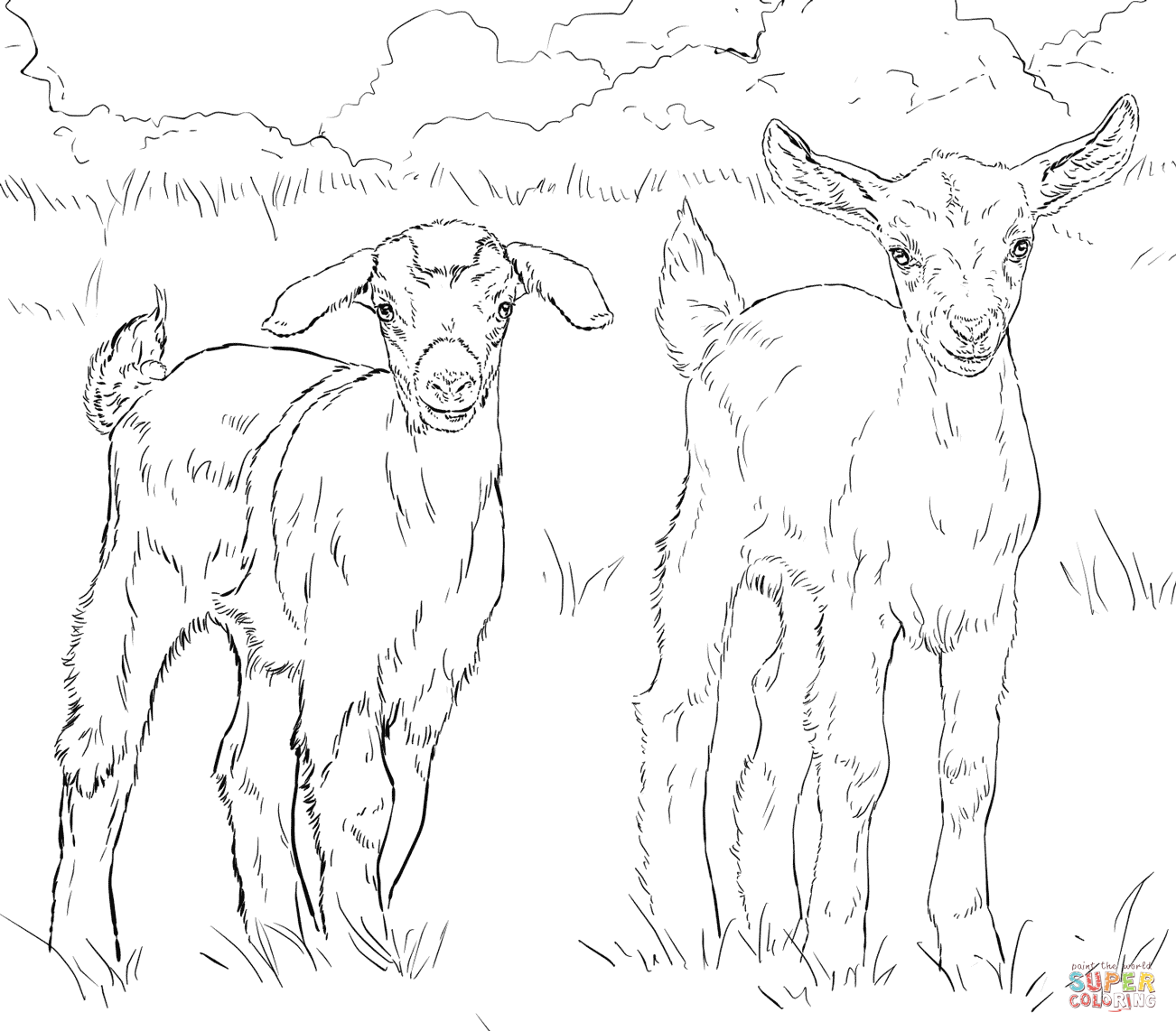 Baby goats coloring page free printable coloring pages