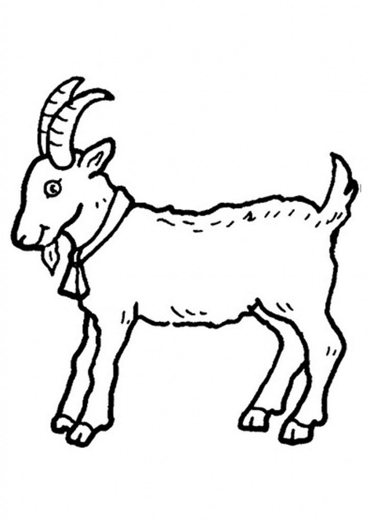 Free printable goat coloring pages for kids animal templates animal coloring pages farm animal coloring pages