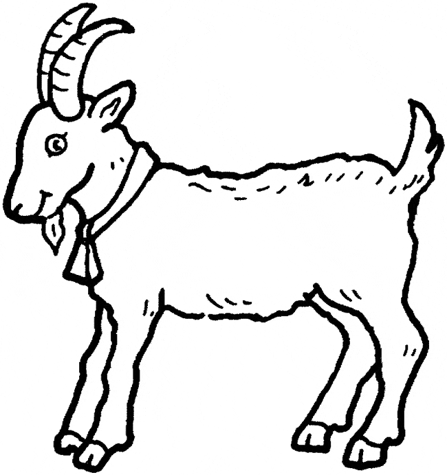 Coloring pages goat color page