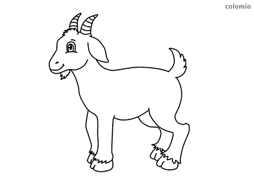 Goats coloring pages free printable goat coloring sheets