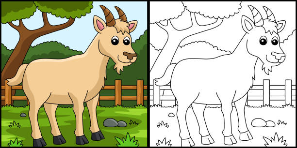 Goat coloring pages stock illustrations royalty