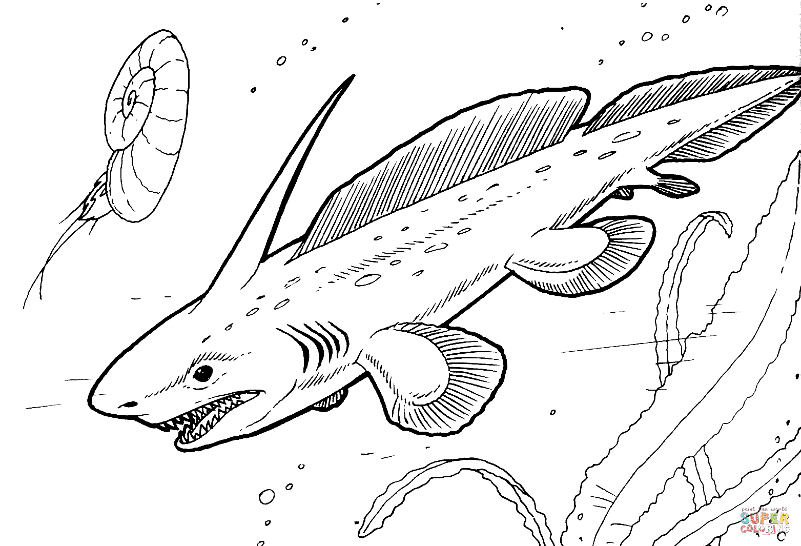 Pleuracanthus