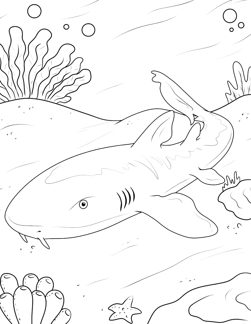 Free coloring pages download or print pdf