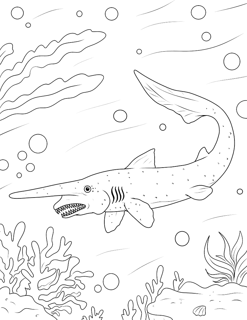 Shark coloring pages