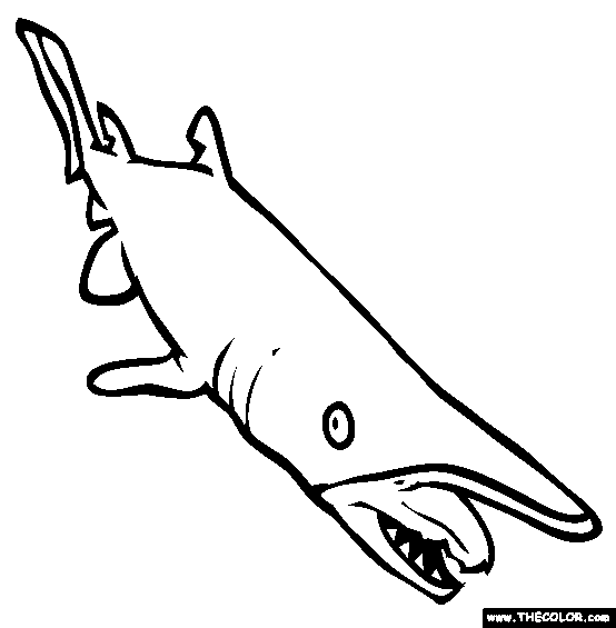 Goblin shark coloring page free goblin shark online coloring