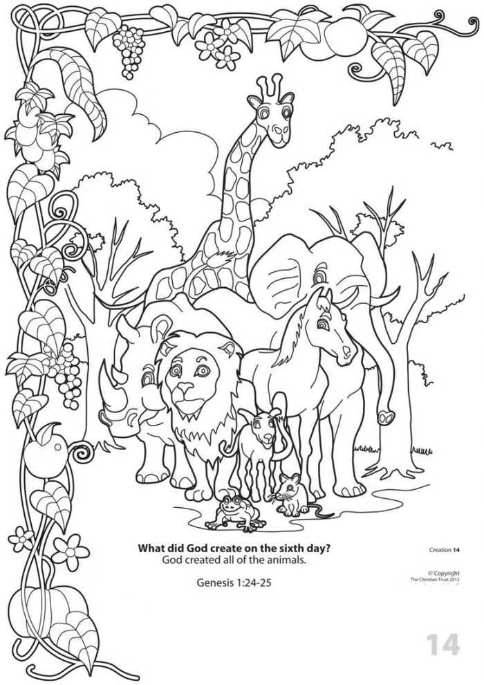 Creation coloring pages pdf for preschoolers