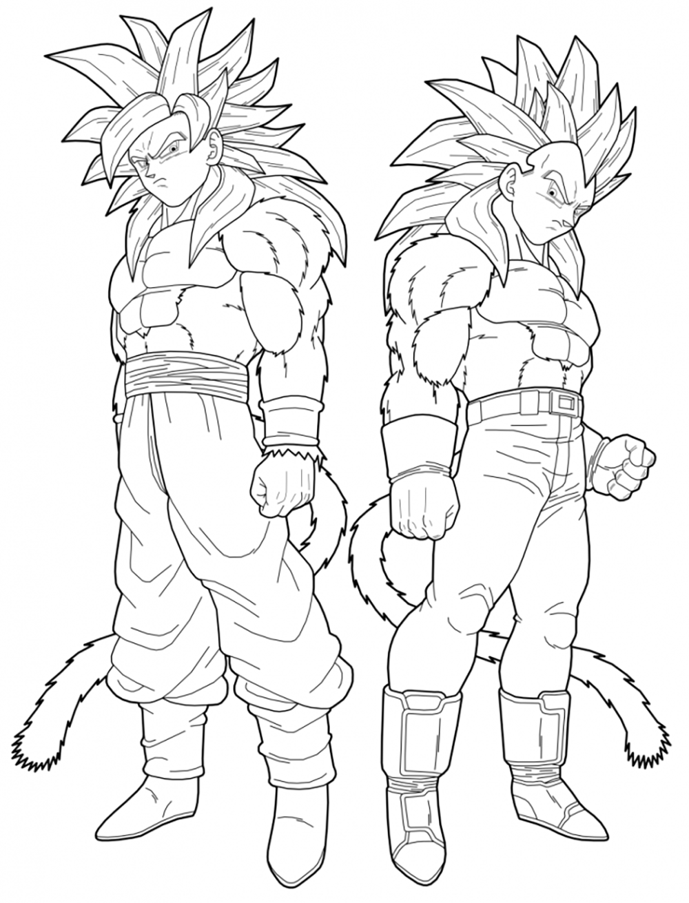 Songoku and vegeta super saiyajin