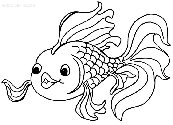 Coloring goldfish page gold fish fish coloring page zoo animal coloring pages animal coloring pages