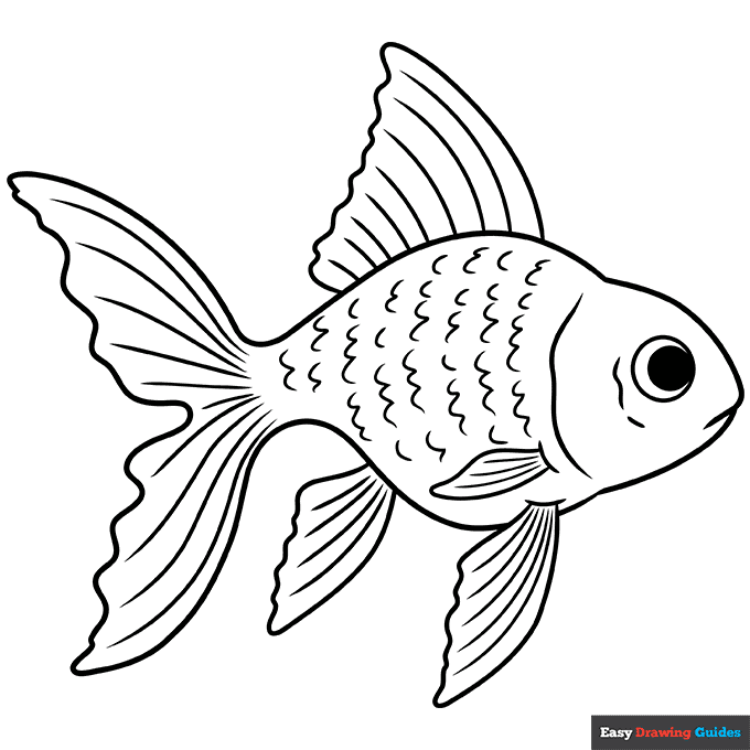 Easy realistic goldfish coloring page easy drawing guides