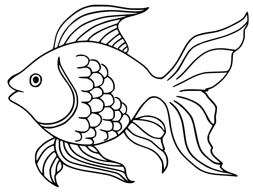 Goldfish coloring pages printable for free download