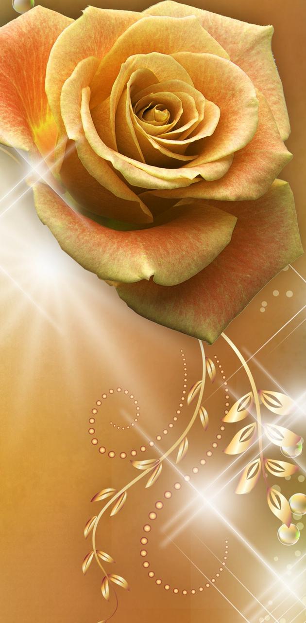 Download Free 100 + gold rose Wallpapers