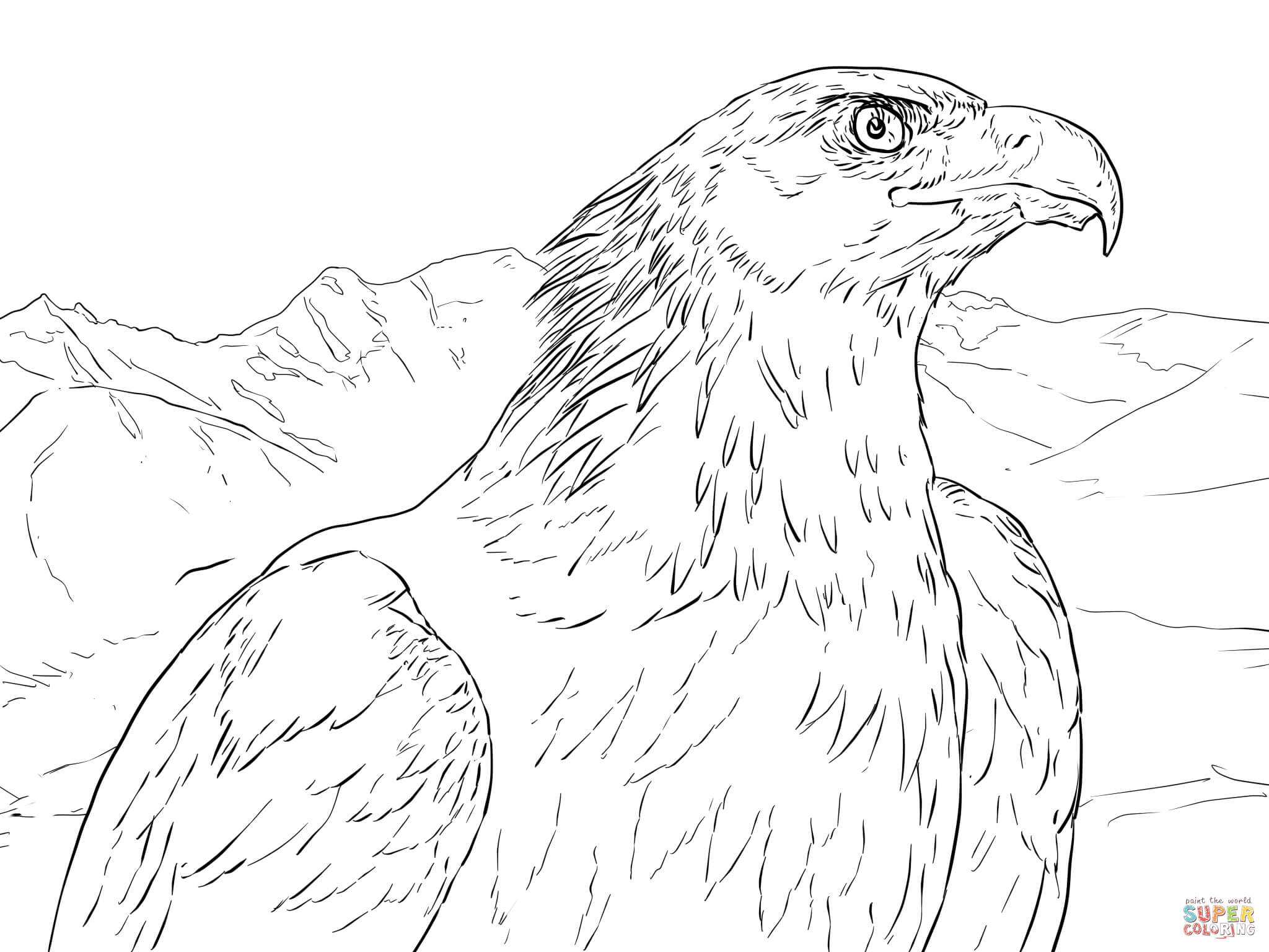 Eagle coloring pages golden aguila real drawing portrait dibujos printable para colorear eagles soaring animal dibujo lil wayne colouring color sketch coloring page