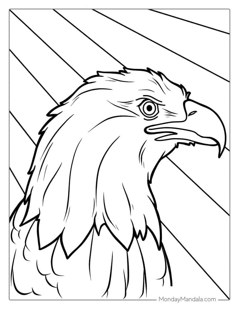 Bald eagle coloring pages free pdf printables