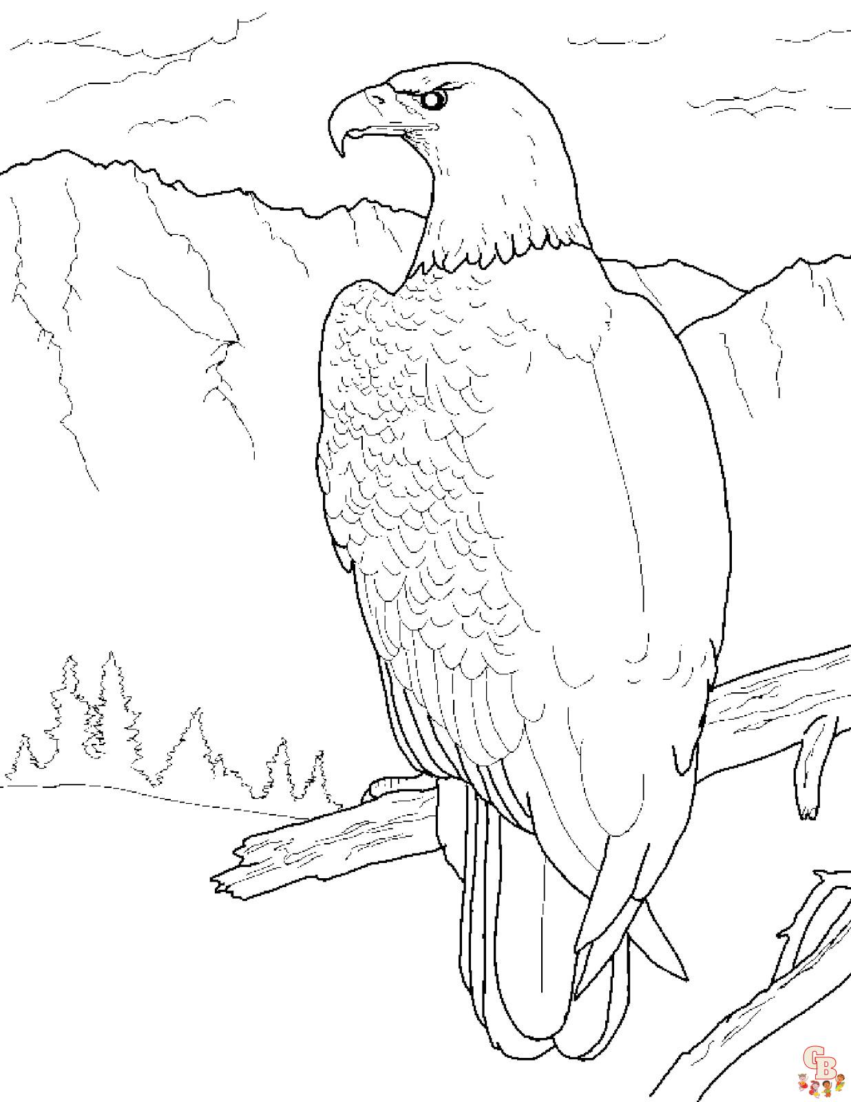 Eagle coloring pages