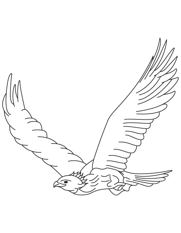 Golden eagle in flight coloring page download free golden eagle in flight coloring page for kids best coloring pages