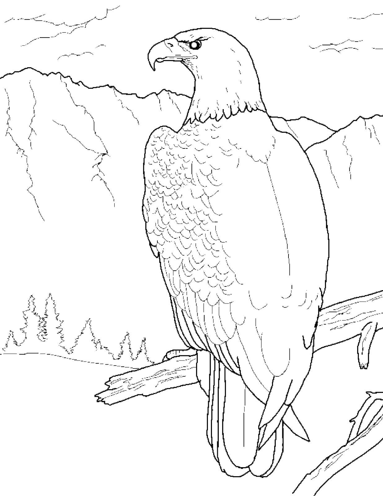 Free eagle coloring page