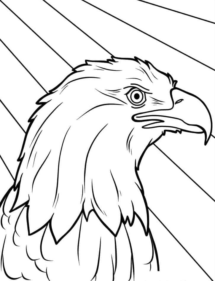 Bald eagle coloring pages printable for free download