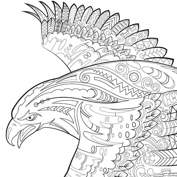 Golden eagle colouring sheet download