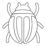 Beetles coloring pages free coloring pages