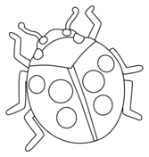 Beetles coloring pages free coloring pages