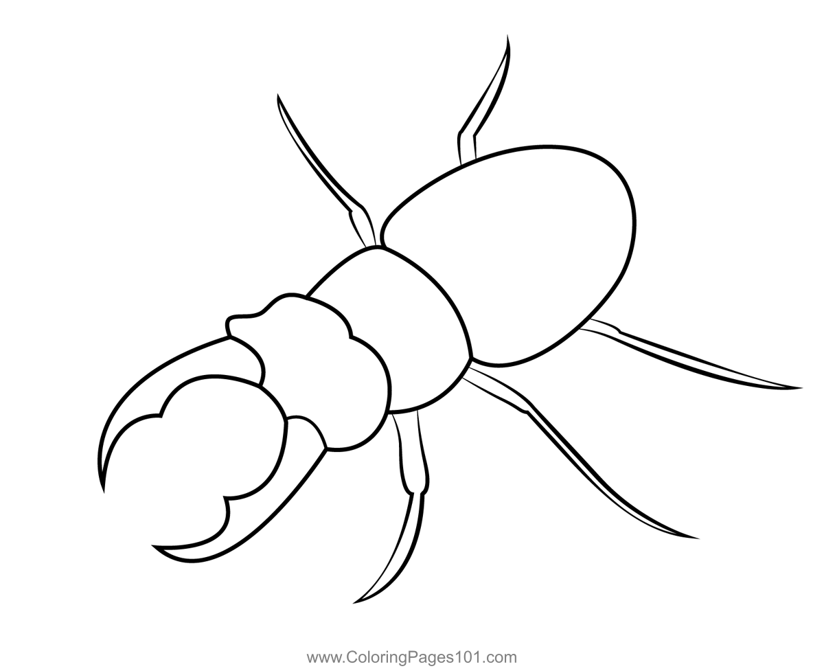 Stag beetle coloring page in stag beetle coloring pages beetle