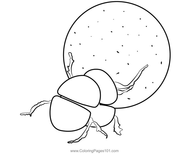 Dung beetle coloring page coloring pages coloring pages for kids color