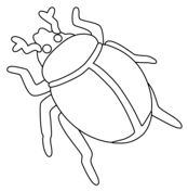 Beetles coloring pages free coloring pages