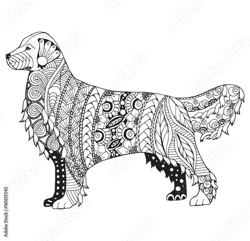 Golden retriever dog zentangle stylized vector illustration freehand pencil pattern zen art black and white illustration on white background adult anti