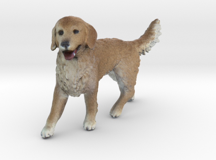 Color golden retriever running xywsxway by winupscalemodels