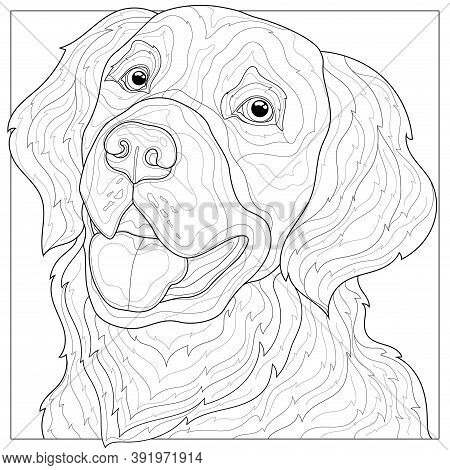 Doggolden retriever vector photo free trial bigstock