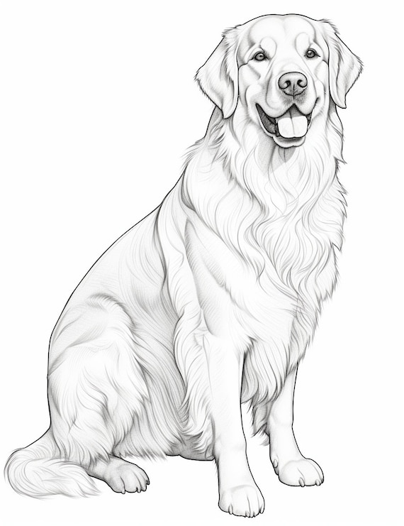 Golden retriever dog coloring page pet portrait printable coloring page coloring for adults instant download mercial use