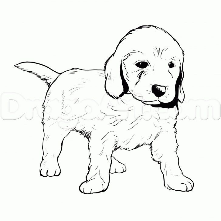 Amazing picture of golden retriever coloring page