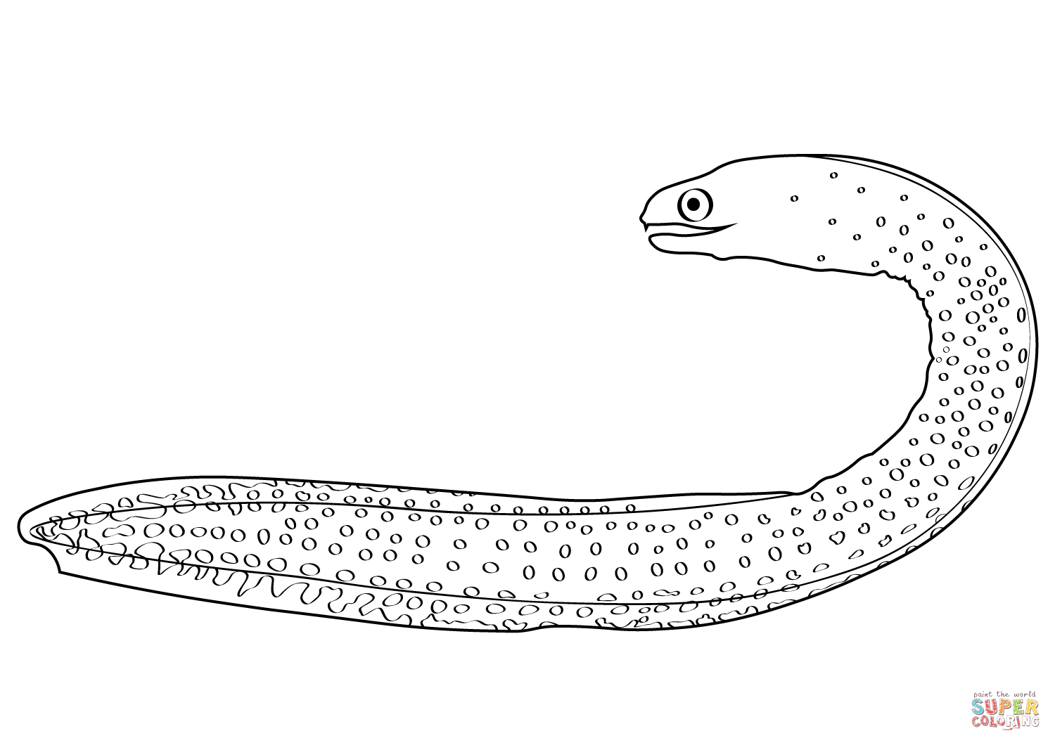 Goldentail moray eel gymnothorax miliaris coloring page free printable coloring pages