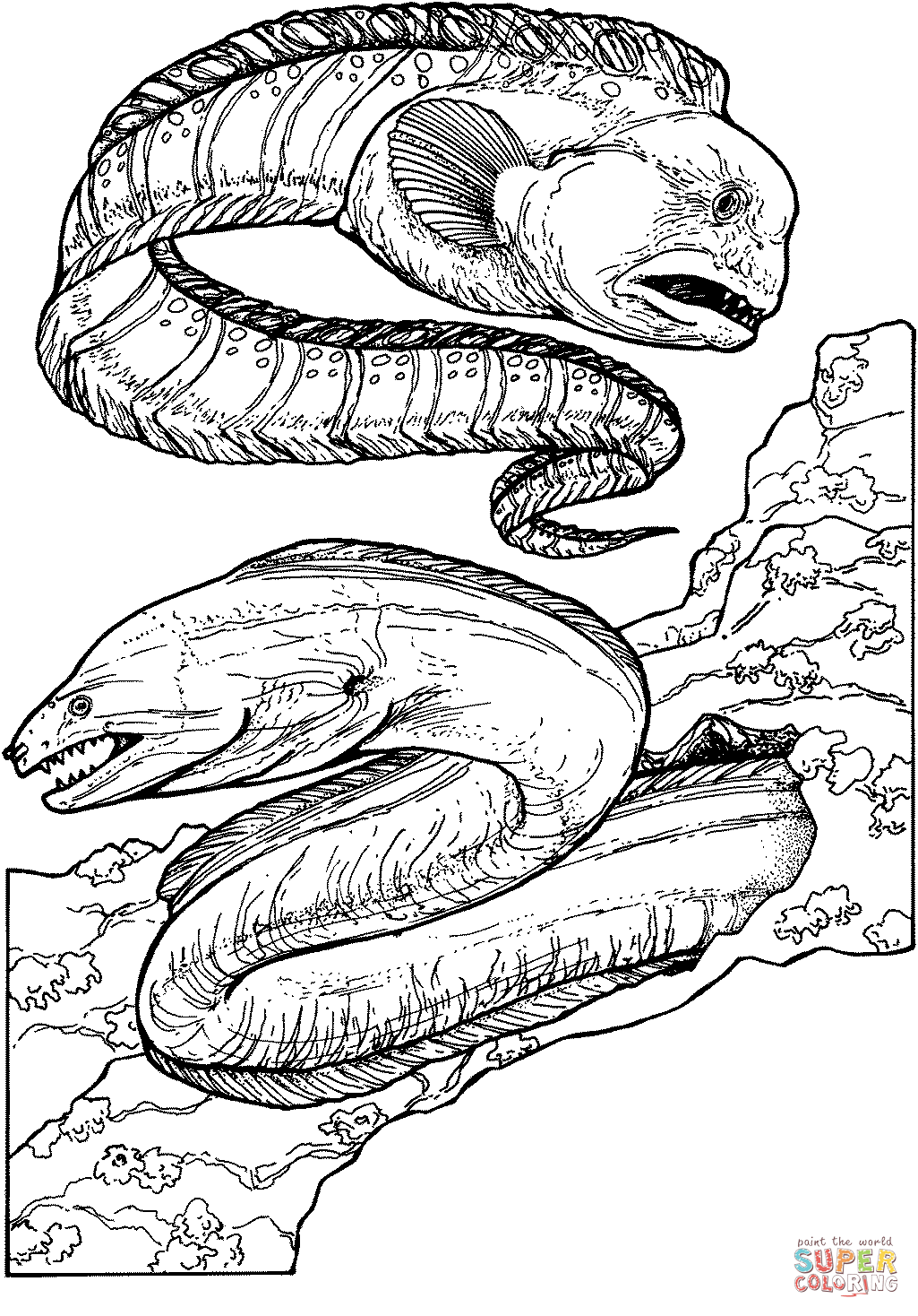 Wolf eel and green moray eel coloring page free printable coloring pages