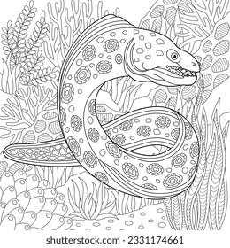 Moray eel coloring page outline sea stock vector royalty free