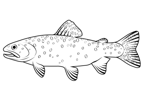 Bonneville cutthroat trout oncorhynchus clarkii utah coloring page free printable coloring pages