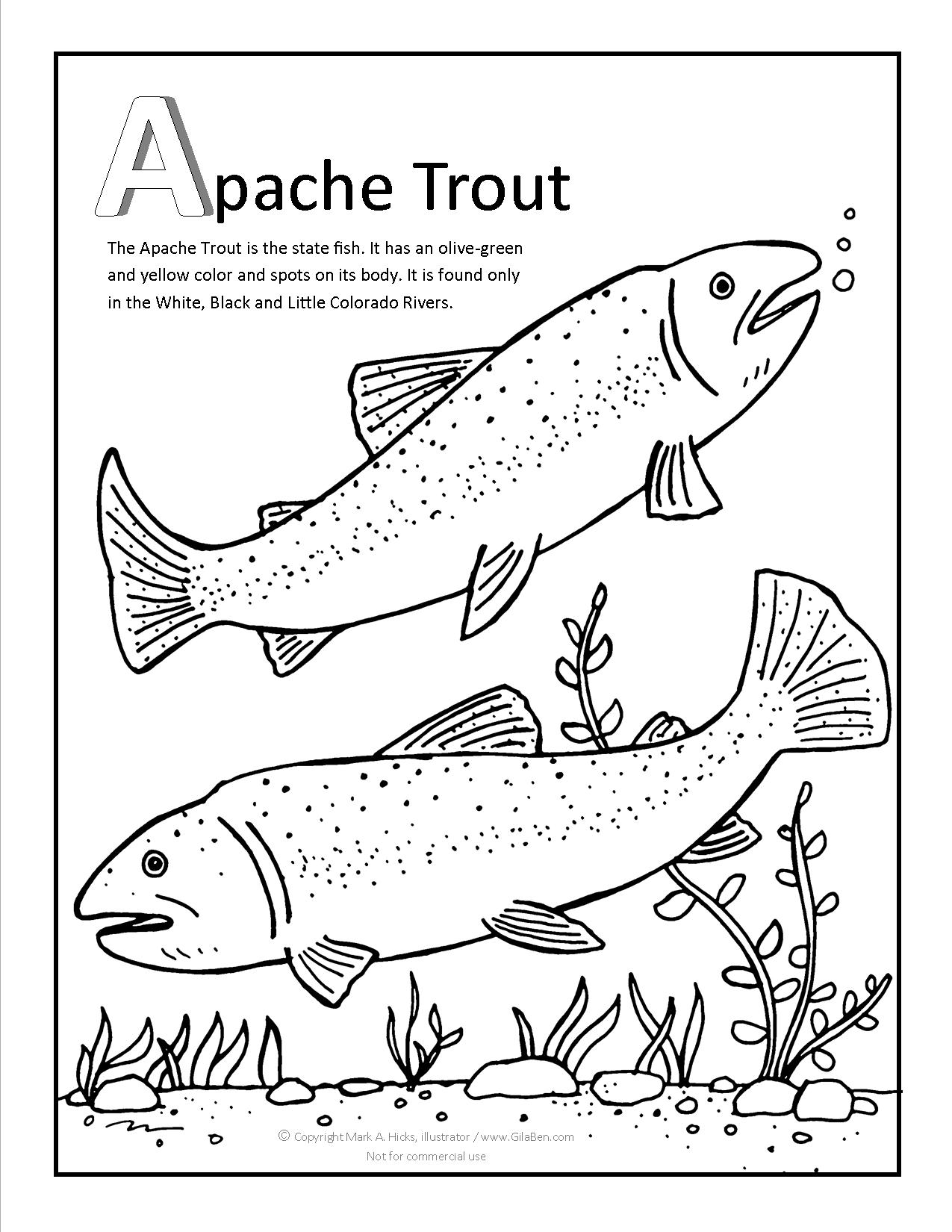 Apache trout coloring page