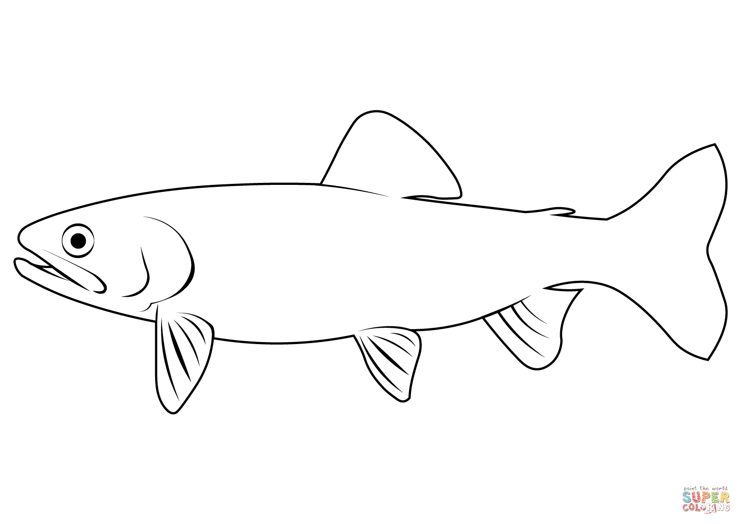 California golden trout oncorhynchus aguabonita coloring page free printable coloring pages