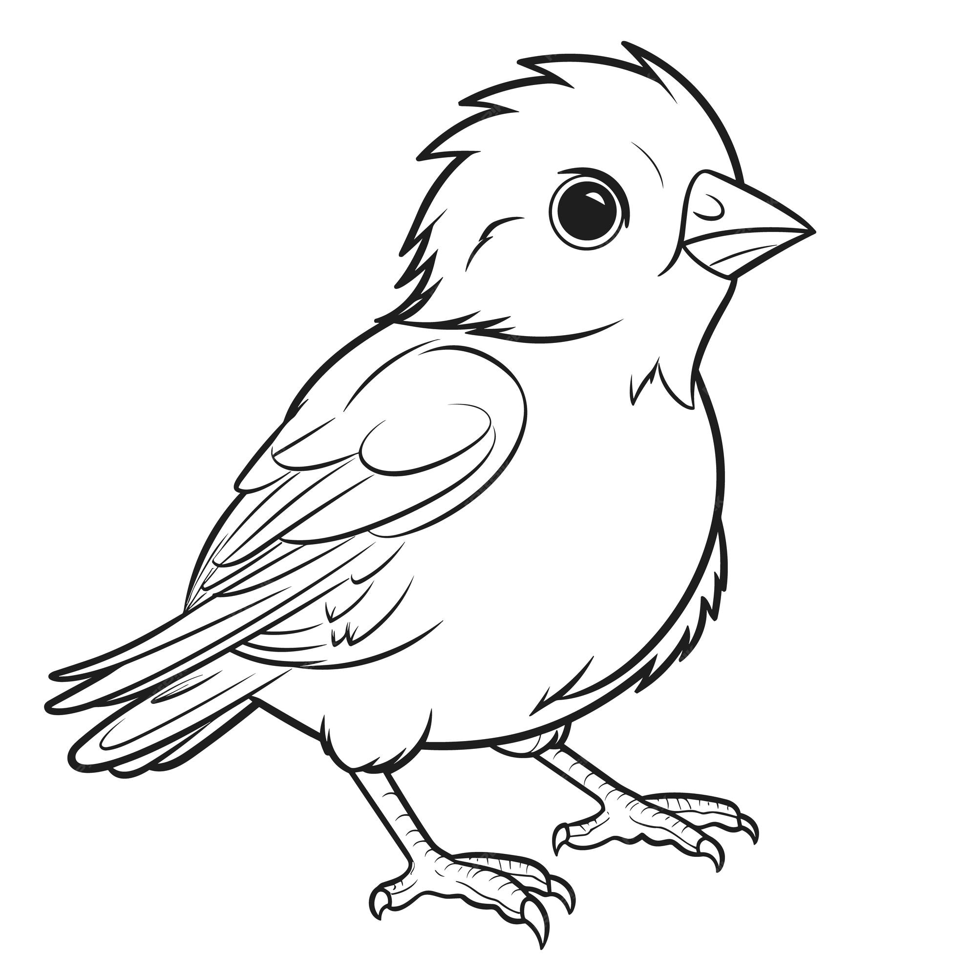 Premium vector goldfinch coloring pages for kid