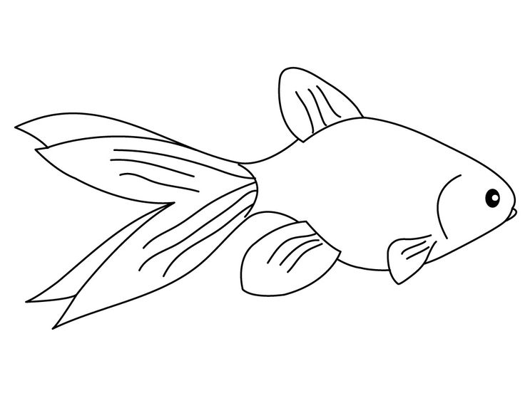 Free printable goldfish coloring pages for kids fish coloring page coloring pages for kids coloring pages