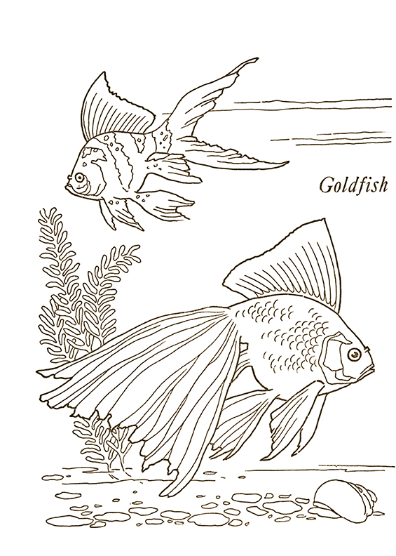 Sea animals printable coloring pages