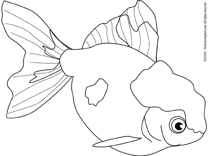 Goldfish coloring pages printable for free download