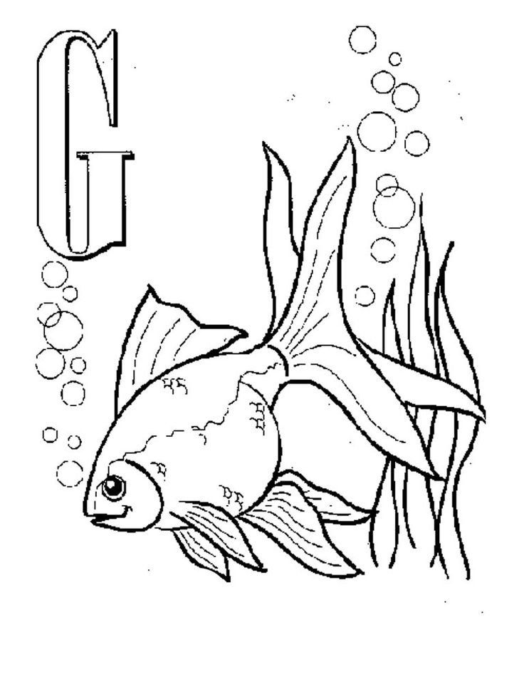 Free printable goldfish coloring pages for kids printable coloring book coloring pages for kids animal coloring pages