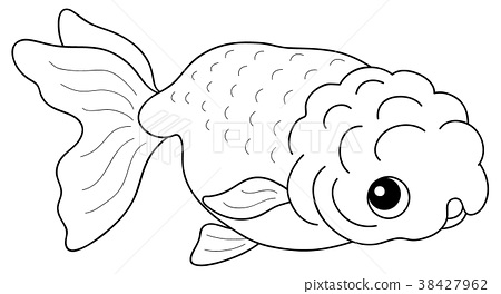 Goldfish ranchu coloring page