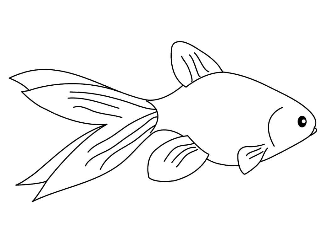 Goldfish coloring pages printable for free download