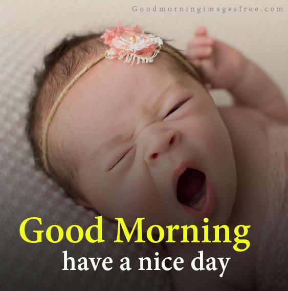 Good morng baby images