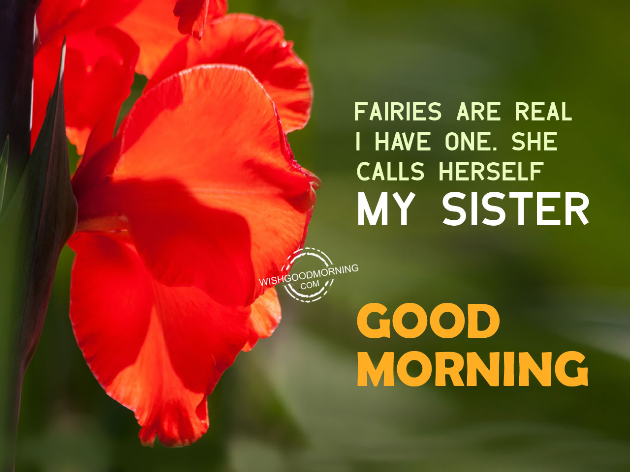 Good morning wishes for sister