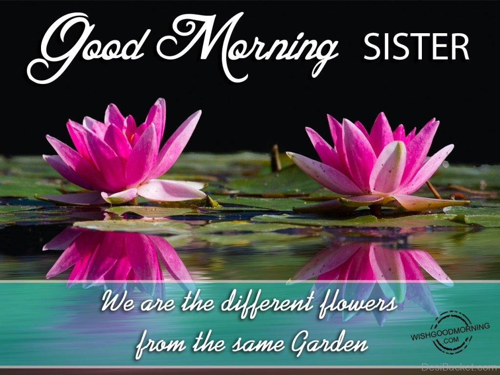 Good morning sister wishes wallpapers