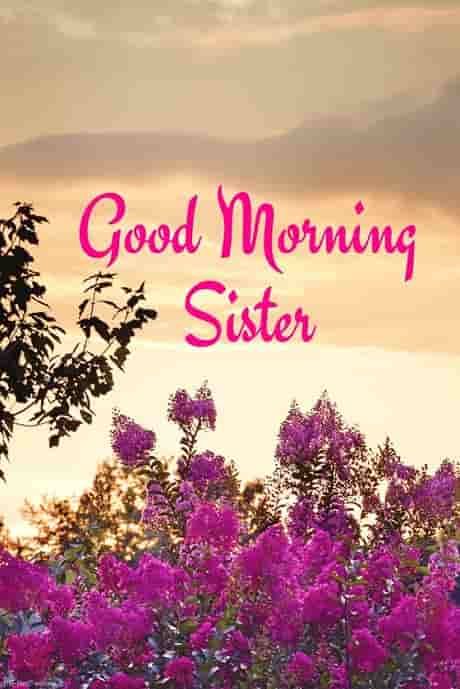 Lovely good morning wishes and greetings for sister